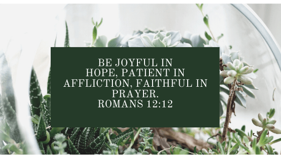 Be joyful in hope, patient in affliction, faithful in prayer. Romans 12_12