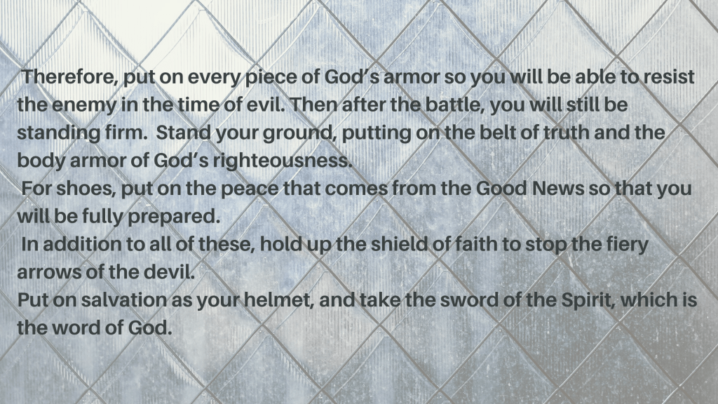 blessedbrownwren.com